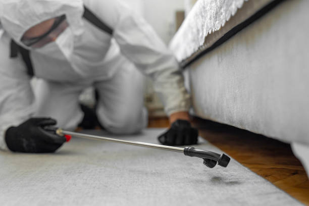 Professional Bed Bug Control technician working in Alton, TX